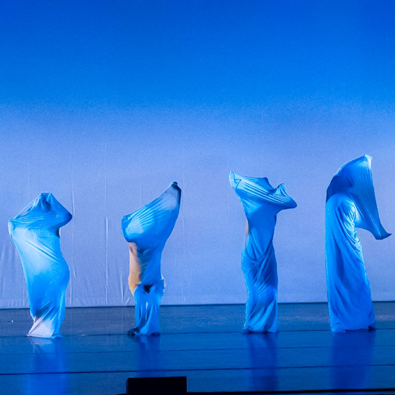 spettacolo-danza-contemporanea-artedanza
